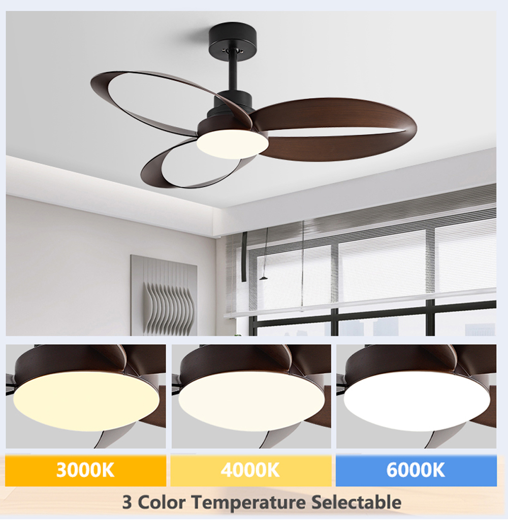 Ventilateur de plafond 42/52 p - Photography Coffee avis et prix