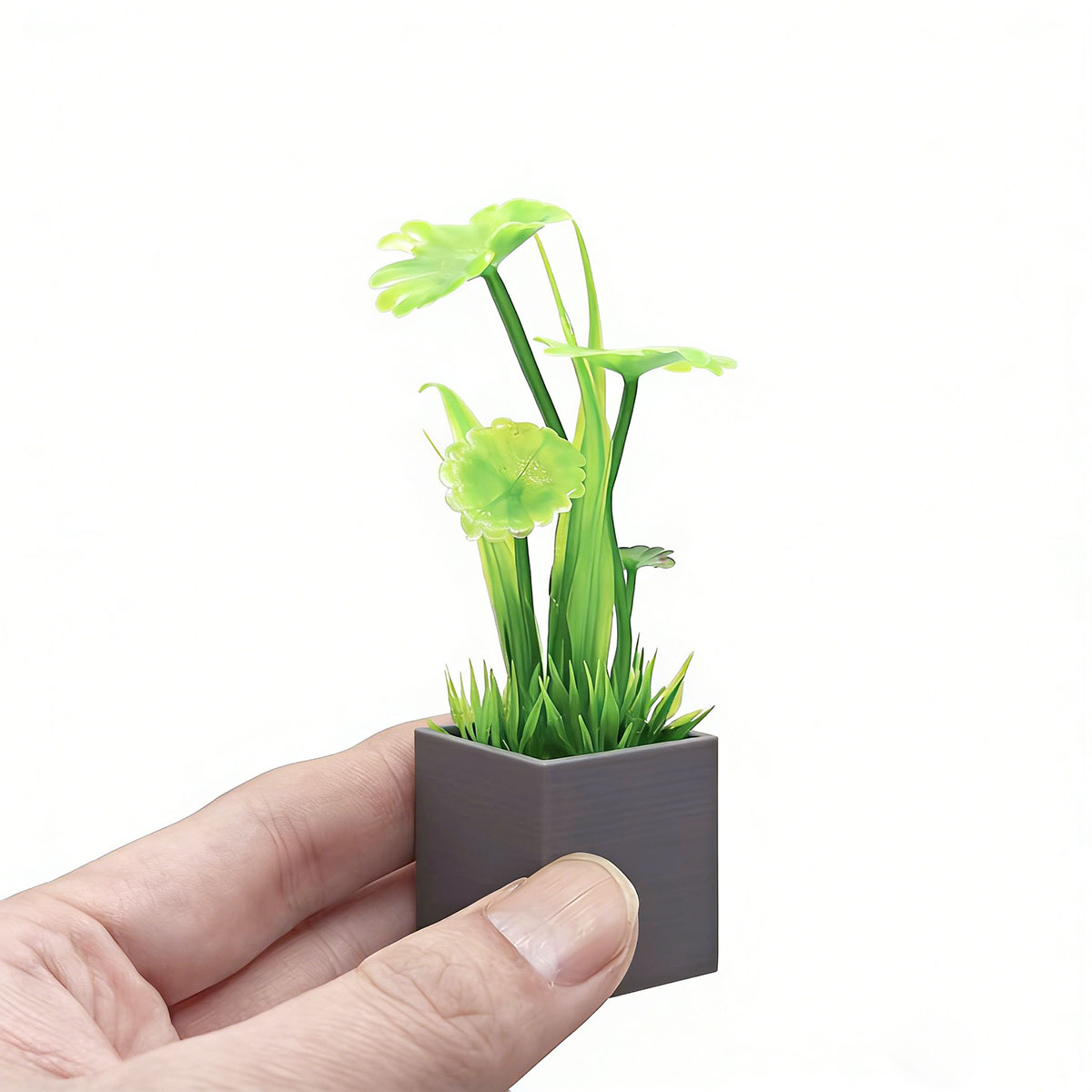 Accessoires pour maisons de po - Photography Model avis et prix