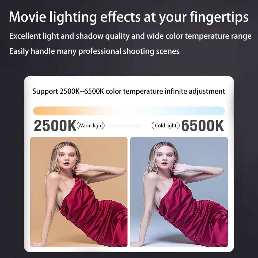 Lampe vidéo LED COB ZU80 80W,  - Strobe Light Studio avis et prix