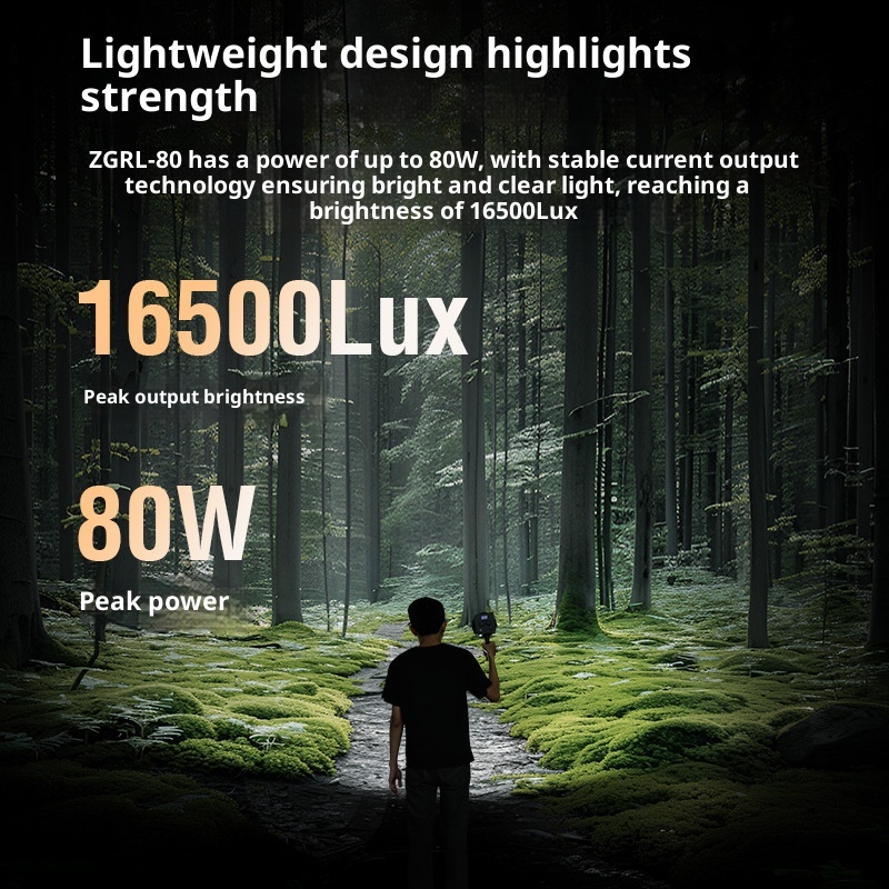 ZGRL80 80W COB LED lumière vid - Photography Treatment avis et prix