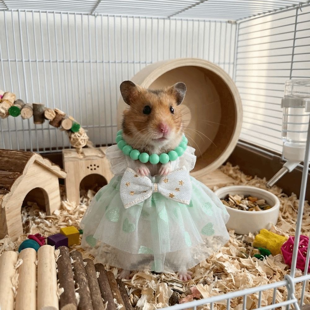 Robe de princesse élégante et  - Photography Vest avis et prix